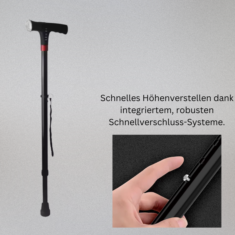 SecureWalk +
