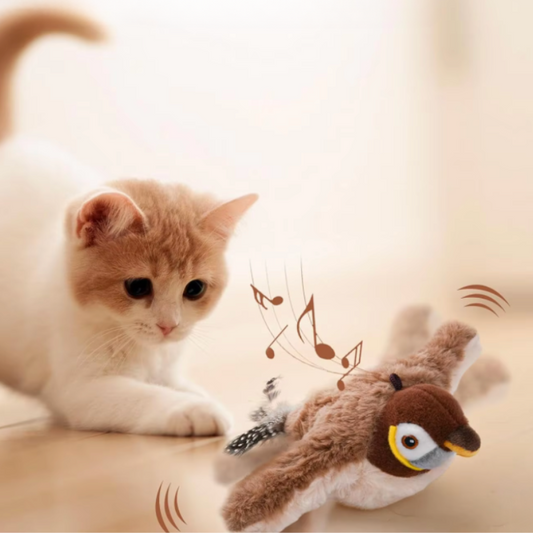ZwitscherFreund Katzenspielzeug