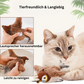 ZwitscherFreund Katzenspielzeug