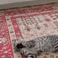 ZwitscherFreund Katzenspielzeug